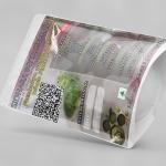 Foeniculum Vulgare Whole Plant Powder | Fennel Whole Plant Powder | Misreya | Madhurika