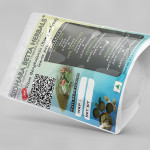 Ficus Benghalensis Leaves Powder | Banyan tree | Nyagrodha