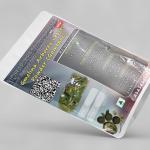 Gmelina Arborea Leaves Powder | Gambhari Leaves Powder | Sindhuparni | Sindhuveshanam | Stulatvacha Ashveta Bhadrapani