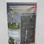 Gmelina Arborea Leaves Powder | Gambhari Leaves Powder | Sindhuparni | Sindhuveshanam | Stulatvacha Ashveta Bhadrapani