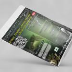 Guava Tender Leaves Powder | Psidium Guajava | Amrud | Pela | Guava | Chepekai