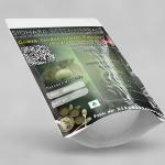 Guava Tender Leaves Powder | Psidium Guajava | Amrud | Pela | Guava | Chepekai