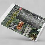 Jackfruit Seeds Powder | Artocarpus Heterophyllus Seeds Powder | Panasam