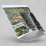 Jackfruit Seeds Powder | Artocarpus Heterophyllus Seeds Powder | Panasam