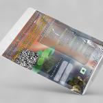 Kalanchoe Pinnata leaves powder | Patharchad Leaves Powder | Cathedral Bells Leaves Powder | Patharchatta