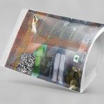 Kalanchoe Pinnata leaves powder | Patharchad Leaves Powder | Cathedral Bells Leaves Powder | Patharchatta