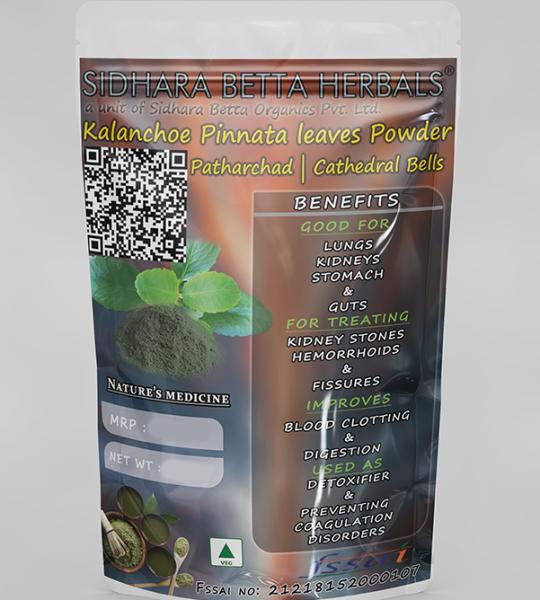 Kalanchoe Pinnata leaves powder | Patharchad Leaves Powder | Cathedral Bells Leaves Powder | Patharchatta