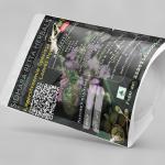 Lagerstroemia Speciosa Leaves Powder | Kramuka | Banaba