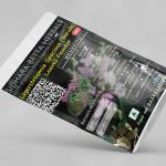 Lagerstroemia Speciosa Leaves Powder | Kramuka | Banaba