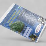 Leucas Aspera Whole Plant Powder | Dronapushpi | Katumba