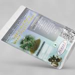 Lippia Nodiflora Whole Plant Powder | Jalapippali | Dhanwanatari Nighantu