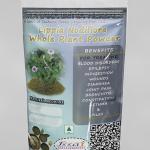 Lippia Nodiflora Whole Plant Powder | Jalapippali | Dhanwanatari Nighantu