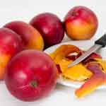 Mangifera Indica Seeds and Kernel Powder | Mango Seeds Powder