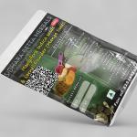 Mangifera Indica Seeds and Kernel Powder | Mango Seeds Powder