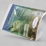 Mentha Leaves Powder | Mint Leaves Powder
