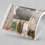 Mimosa Pudica Whole Plant Powder | Touch Me Not | Lajjalu | Lajwanti