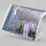 Moringa Oleifera Tender Leaves Powder | Shigru | Shobhanjana | Munaga | Nugge Soppu