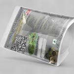 Morus Alba Leaves Powder | Mulberry Leaves Powder | Tutam | Tut | Shahatoot