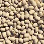 Mucuna Pruriens Seeds Powder (White) | Kapikaachu | Velvet Bean