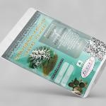 Orthosiphon Aristatus Leaves Powder | Java Tea