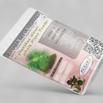 Phyllanthus Niruri Whole Plant Powder | Bahupatra | Tamalaki