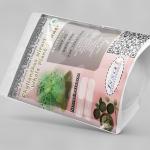 Phyllanthus Niruri Whole Plant Powder | Bahupatra | Tamalaki