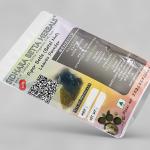 Piper Betle Leaves Powder | Betel Leaves