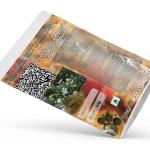 Plumbago Zeylanica Leaves Powder | Leadwort | Chitrak |