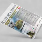 Portulaca Oleracea Whole Plant Powder | Little Hogweed | Brihalloni Lonamala Lonica | Purslane