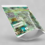 Raw Mangifera Indica Fruit Powder | Raw Mango Fruit Powder