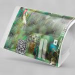 Raw Mangifera Indica Fruit Powder | Raw Mango Fruit Powder