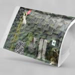 Raw Tender Jackfruit Powder | Artocarpus Heterophyllus | Panasam