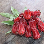 Roselle Whole Plant Powder | Ambasthika | Hibiscus Sabdariffa