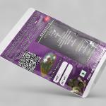 Sauropus Androgynus Plant Powder | Chakramuni | Multi Vitamin Powder