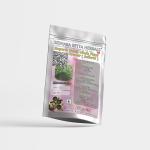 Scoparia Dulcis Whole Plant Powder | kallurki | Mruganmhi |