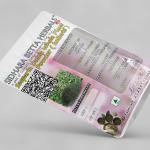 Scoparia Dulcis Whole Plant Powder | kallurki | Mruganmhi |