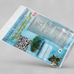 Sesbania Grandiflora Tender Fruit Powder | Agastya | Agase Fruit Powder |