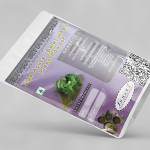 Sida Acuta Whole Plant Powder | Bala | Baraira