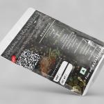 Solanum Surattence Root Powder | kantakari | Katai khurd | Choti Kateri | Ringni