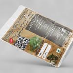 Solanum Surattence White whole plant Powder | kantakari | Katai khurd | Choti Kateri | Ringni