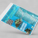 Sphaeranthus Indicus Leaves Powder | Gorakhmundi | Tapaswini