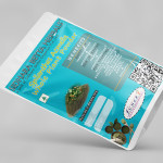 Spilanthes Acmella Whole Plant Powder | Akarkara | Toothache Plant Powder