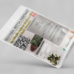 Arjuna Tree Bark Powder | Terminalia Arjuna | Kakubha | Partha | Svetavaha