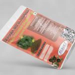 Tribulus Terrestris Leaves Powder | Ane Neggalu | Neggina Mullu | Gokhru
