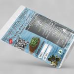 Turkey Berry Powder | SOLANUM TORVUM | GULLA BADANE