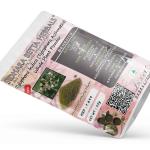 Tylophora Asthmatica | Indian Ipecac | Aadumuttada Gida | Tylophora indica | Vincetoxicum Indicum Whole Plant Powder