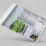 Vitex Negundo Leaves Powder | Nirgundi | Sindhuvara