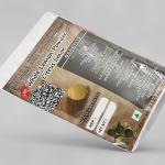 Whole Lemon Powder | Gaja Nimbe Powder