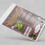 Withania Somnifera Whole Plant Powder | Ashwagandha | Hayahvaya | Varahakarni | Pannerugadda