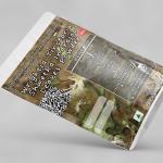 Wrightia Tinctoria Leaves Powder | Sweet Kutaja Leaves Powder | Shwetha Indrajao Leaves Powder | Paribhadra